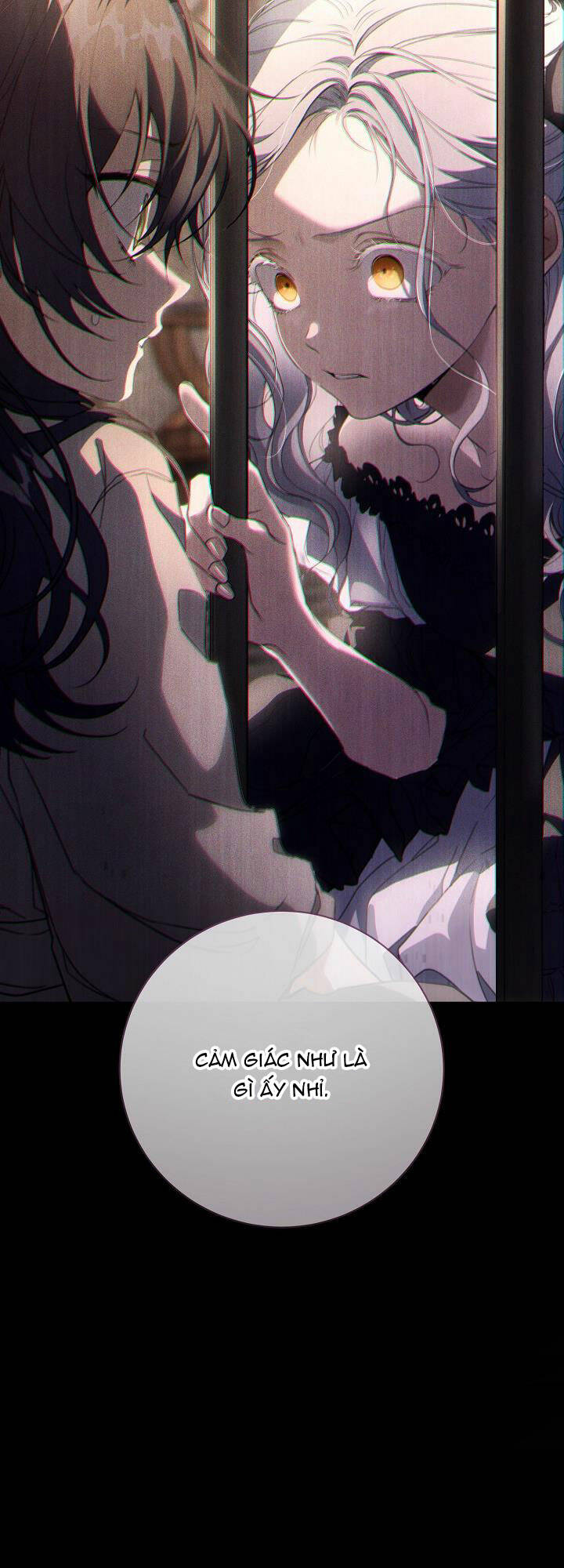 Lần Nữa Toả Sáng Chapter 64 - Trang 2