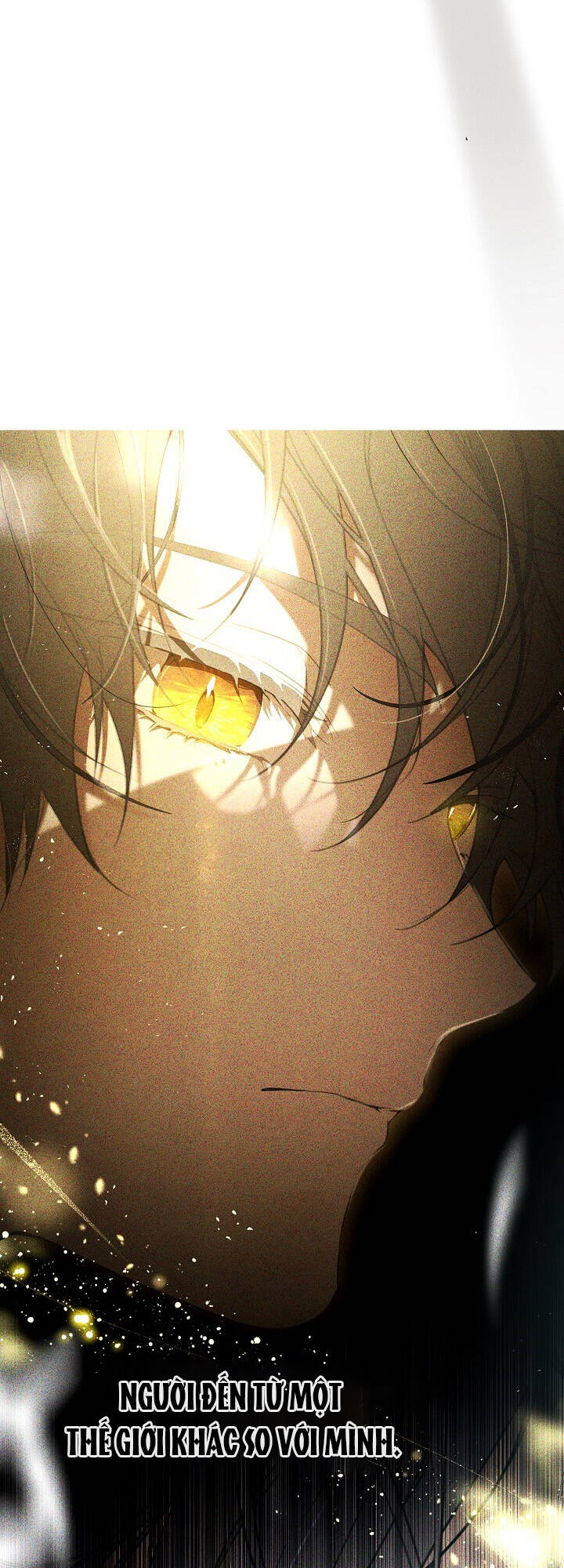 Lần Nữa Toả Sáng Chapter 66 - Trang 2