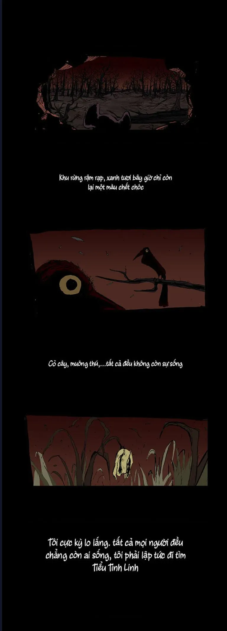 Lãng Khách – Đứa Con Của Bóng Tối Chapter 1 - Trang 2