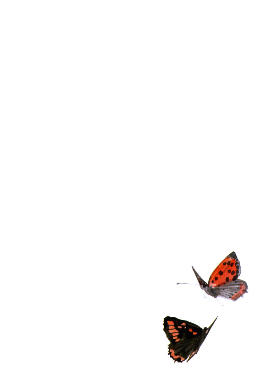 Lãng Khách Chapter 181 - Trang 2