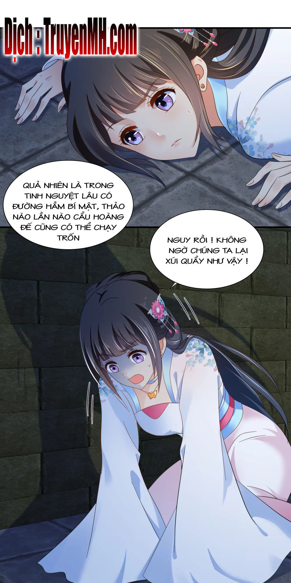 Lãnh Cung Phế Hậu Muốn Nghịch Thiên Chapter 101 - Trang 2