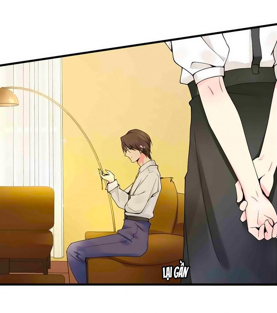 Lãnh Huyết Tổng Tài Đích Tâm Kiên Thê Chapter 11 - Trang 2