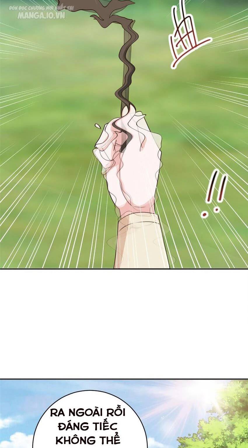 Lão Ba Cho Tôi Lựa Một Trong Mười Nữ Thần Để Kết Hôn Chapter 94 - Trang 2