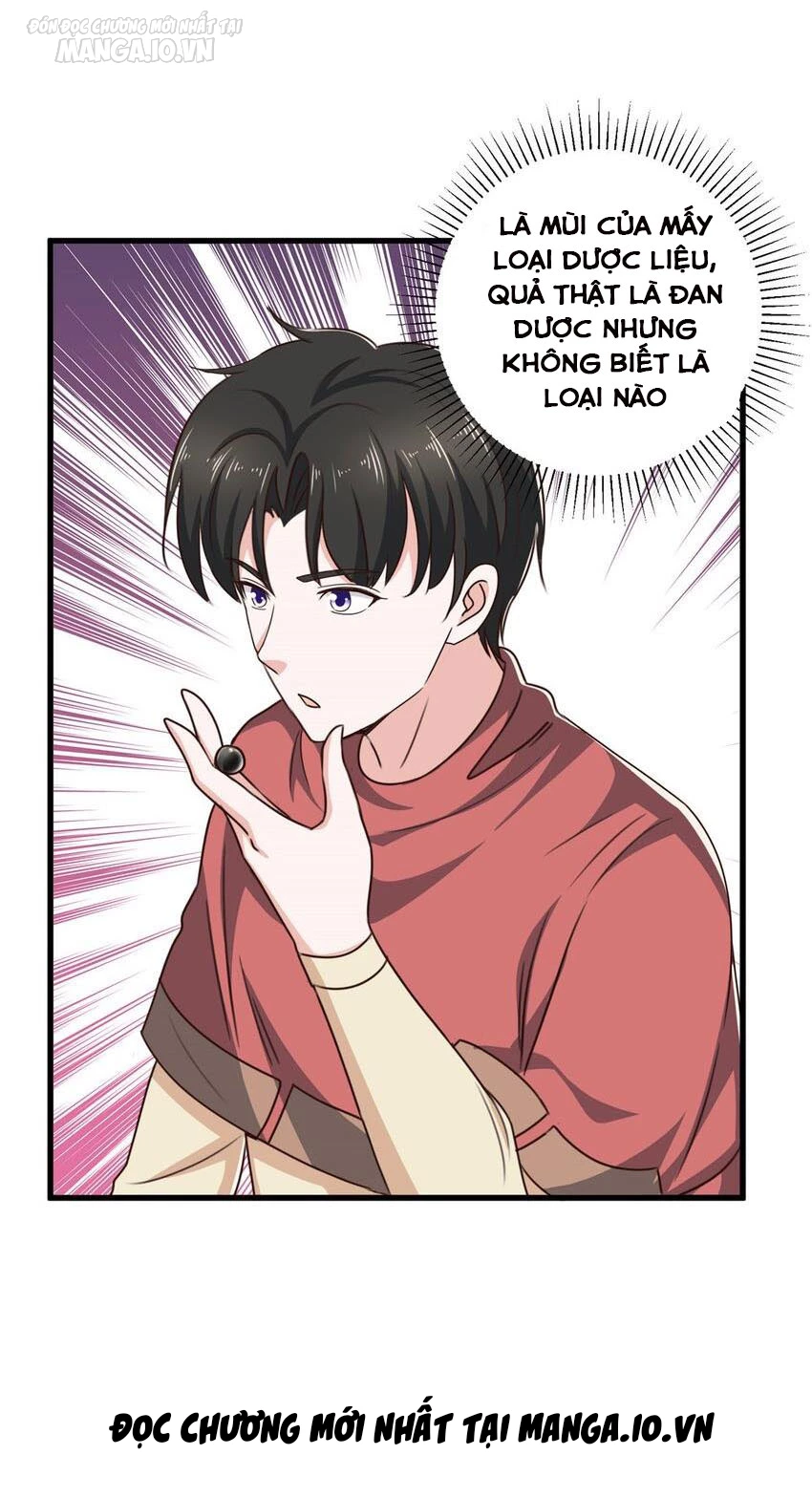 Lão Ba Cho Tôi Lựa Một Trong Mười Nữ Thần Để Kết Hôn Chapter 96 - Trang 2