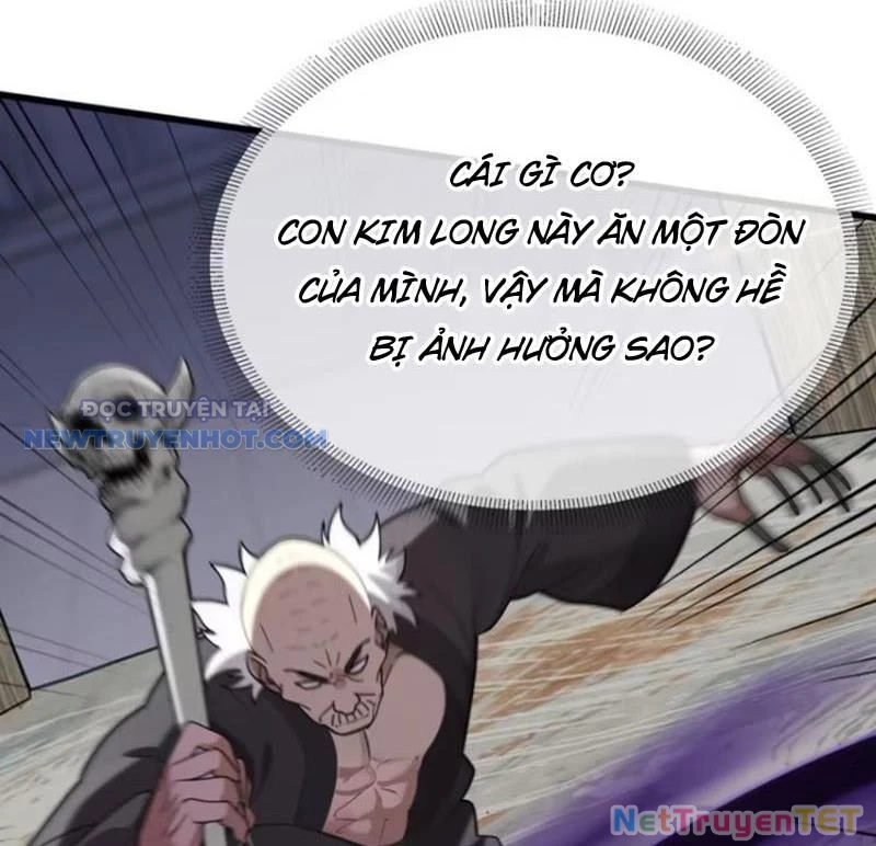 Lão Đại Xuống Núi: Bắt Đầu Lập Nghiệp Kiếm Cơm Chapter 51 - Trang 2