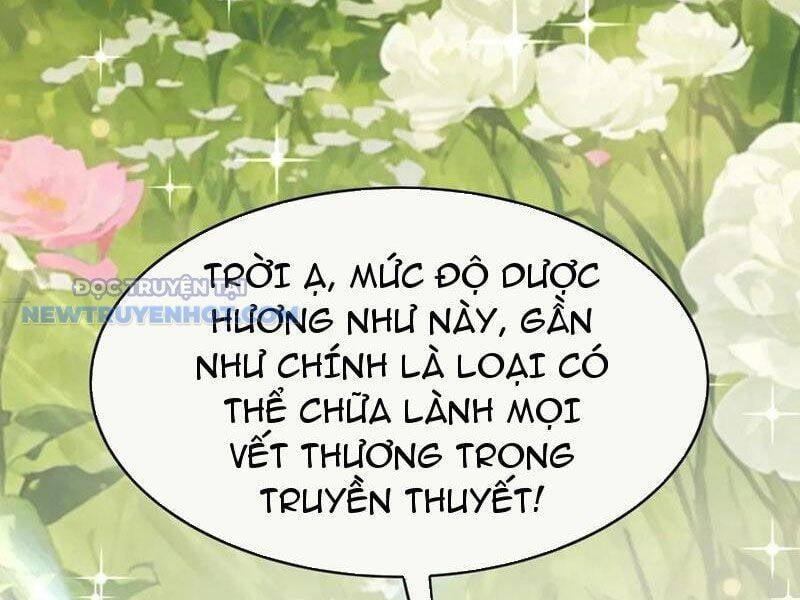 Lão Đại Xuống Núi: Bắt Đầu Lập Nghiệp Kiếm Cơm Chapter 54 - Trang 2