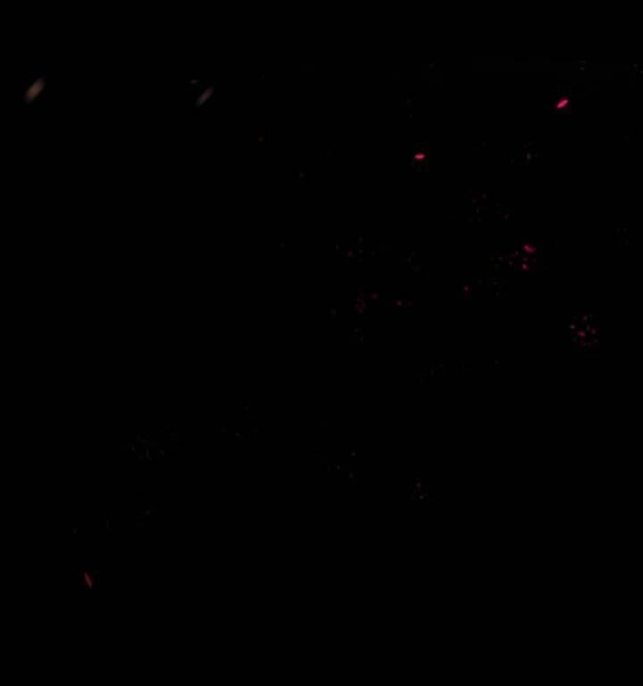 Lão Đại Xuyên Không Gả Cho Phu Quân Mù Chapter 1 - Trang 2