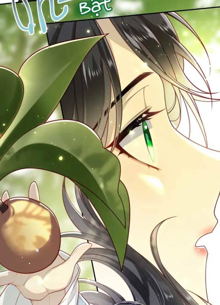 Lão Đại Xuyên Không Gả Cho Phu Quân Mù Chapter 13 - Trang 2