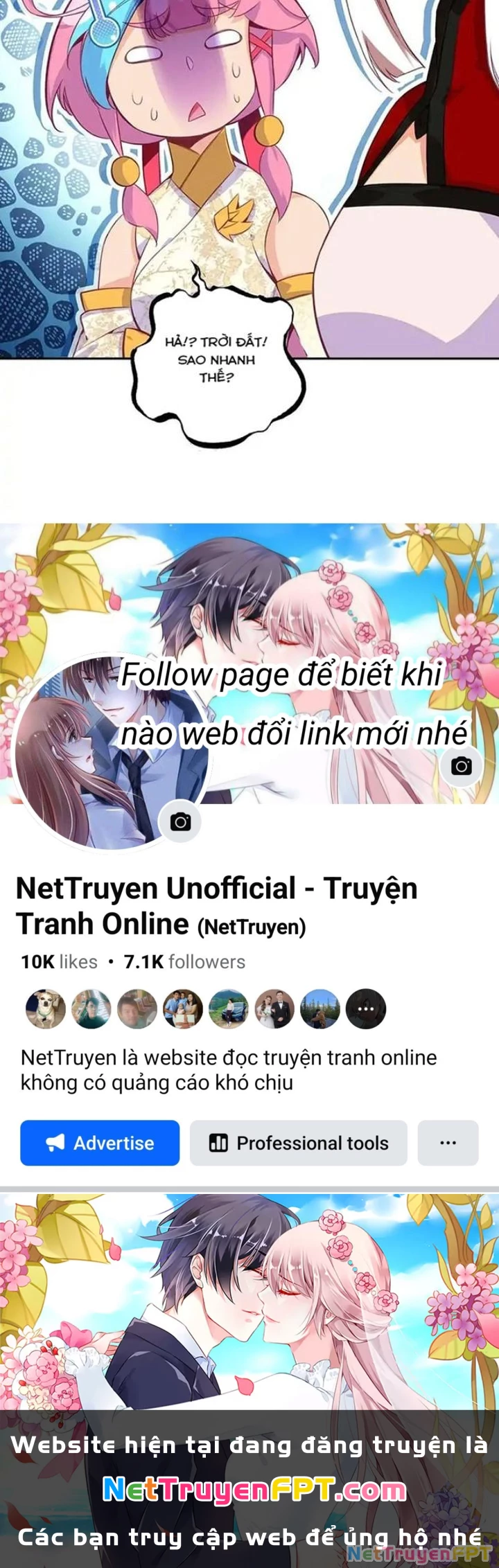 Lão Đại Xuyên Không Thành Tiên Nữ Chapter 258 - Trang 2