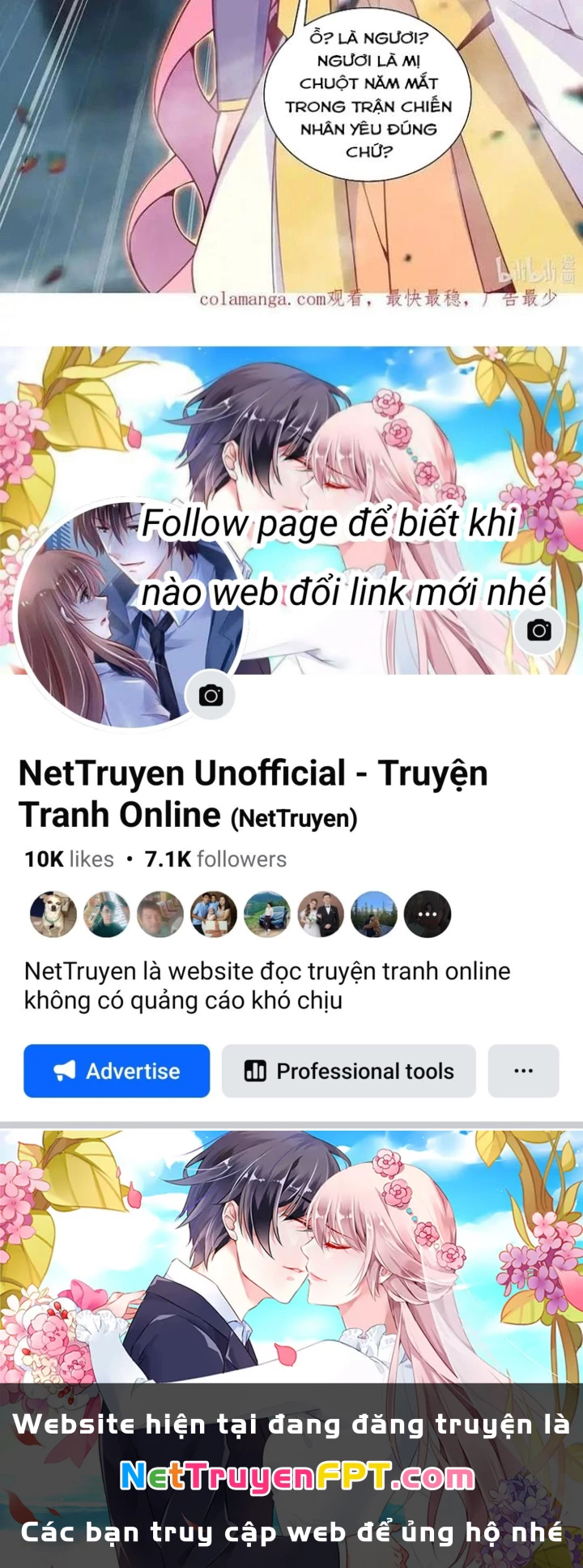 Lão Đại Xuyên Không Thành Tiên Nữ Chapter 272 - Trang 2