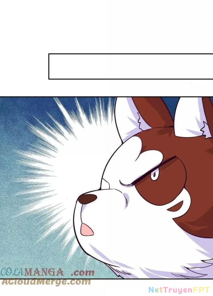 Lão Đại Xuyên Không Thành Tiên Nữ Chapter 283 - Trang 2