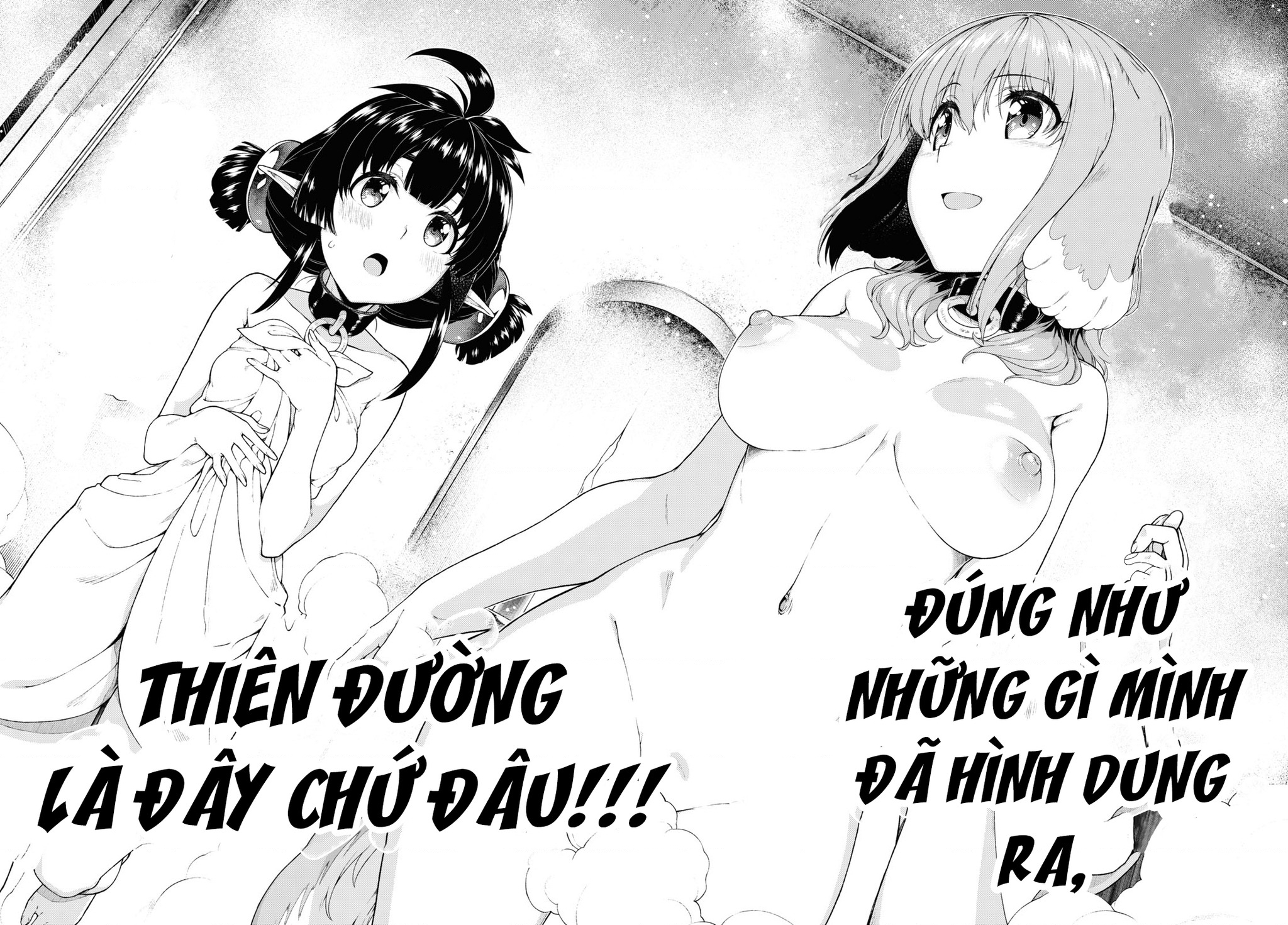 Lập Dàn Harem Tại Dị Giới Chapter 33 - Trang 2