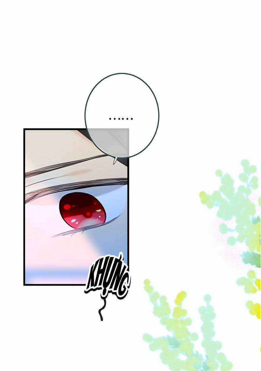 Lâu Tiểu Thư, Lại Gặp Nhau Rồi Chapter 12 - Trang 2