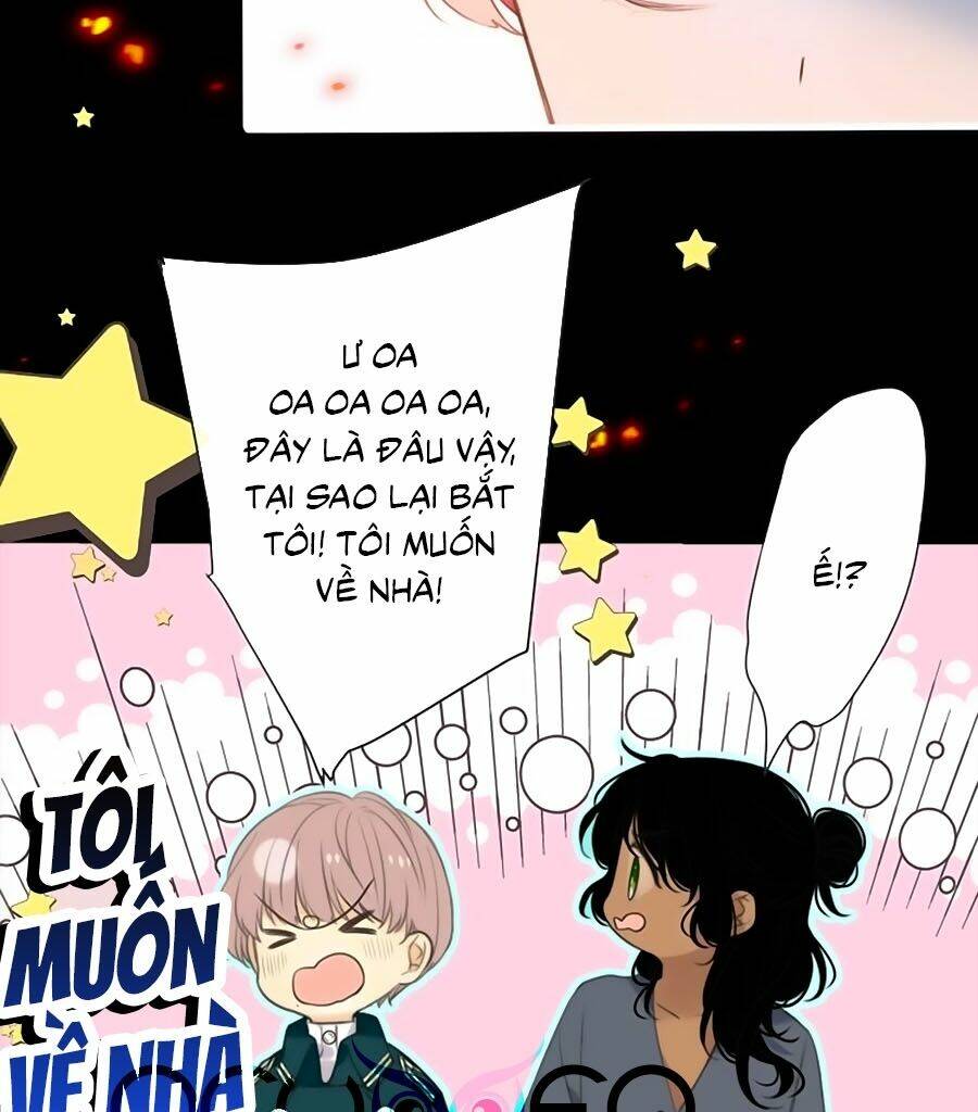 Lâu Tiểu Thư, Lại Gặp Nhau Rồi Chapter 15 - Trang 2