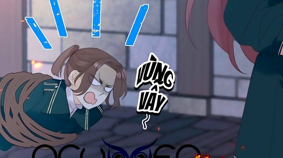 Lâu Tiểu Thư, Lại Gặp Nhau Rồi Chapter 16 - Trang 2