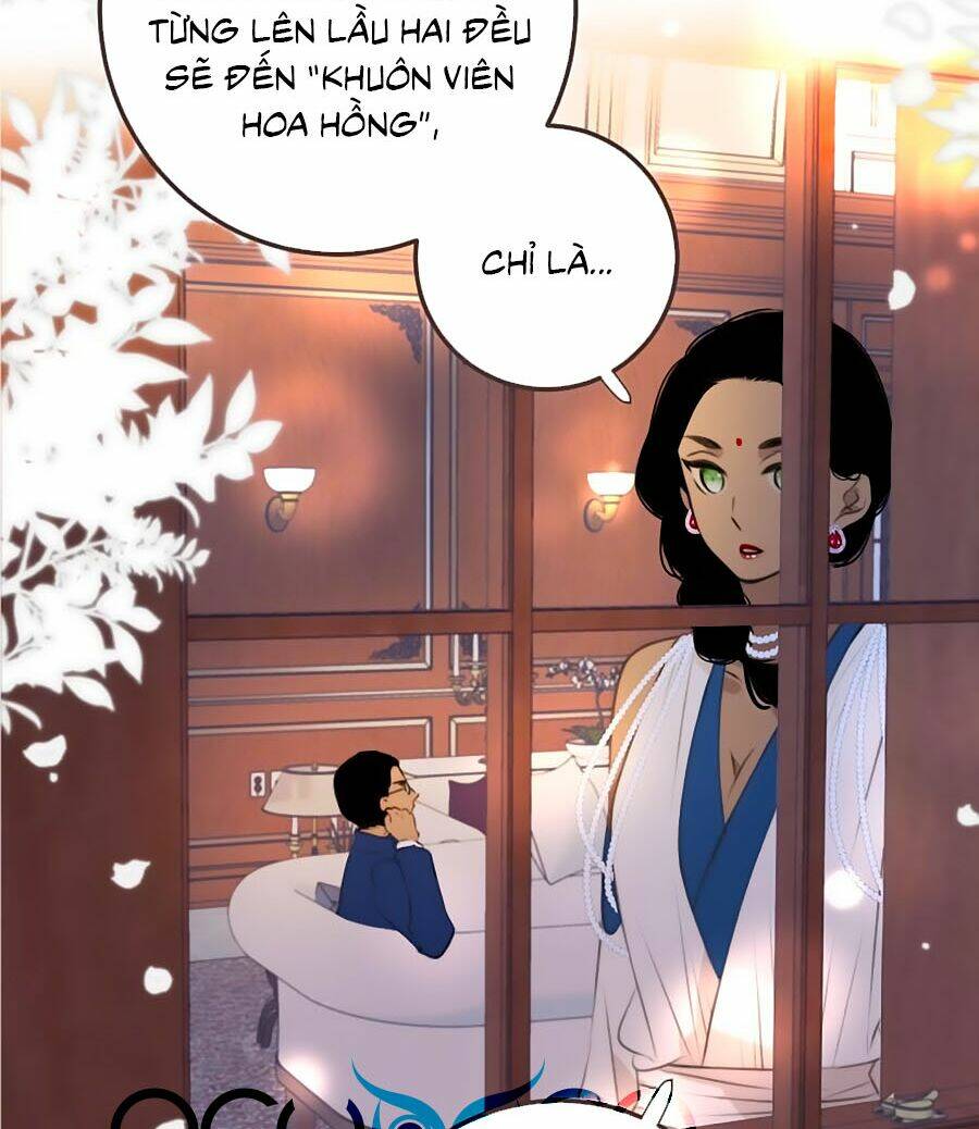 Lâu Tiểu Thư, Lại Gặp Nhau Rồi Chapter 25 - Trang 2