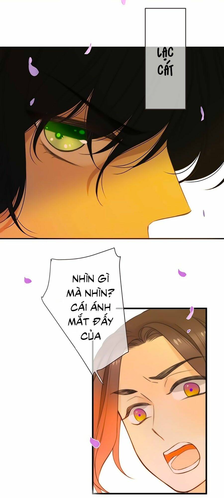 Lâu Tiểu Thư, Lại Gặp Nhau Rồi Chapter 5 - Trang 2