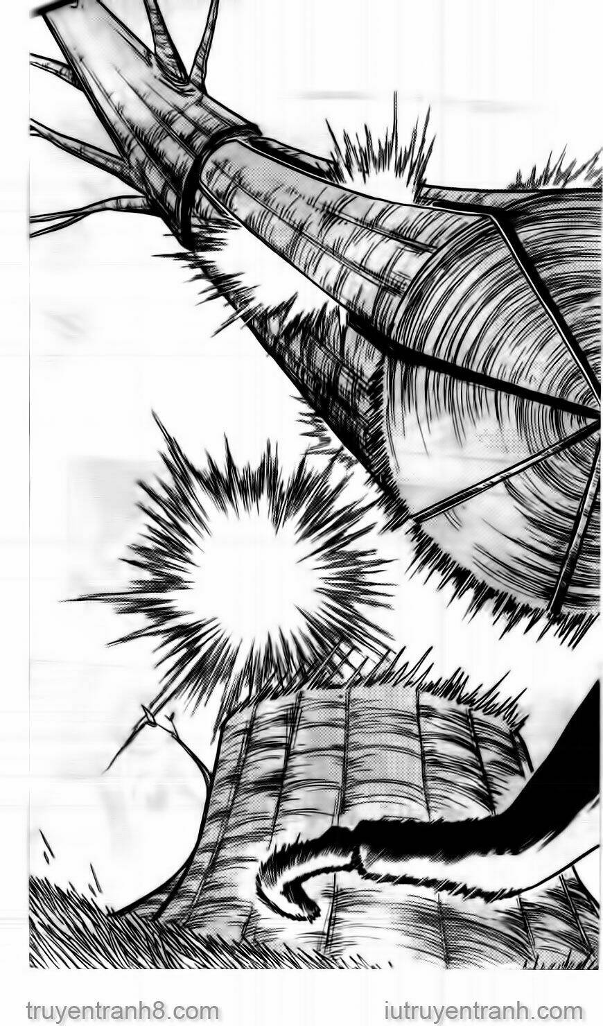 Law Of Ueki Chapter 13 - Trang 2