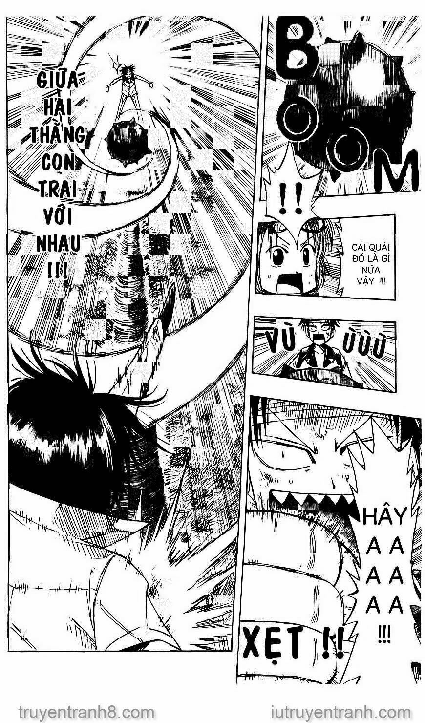 Law Of Ueki Chapter 31 - Trang 2