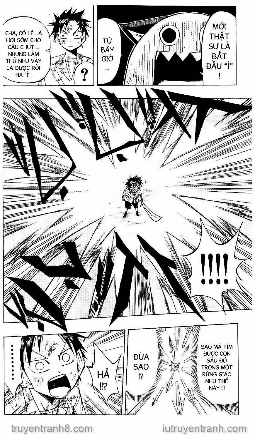 Law Of Ueki Chapter 49 - Trang 2