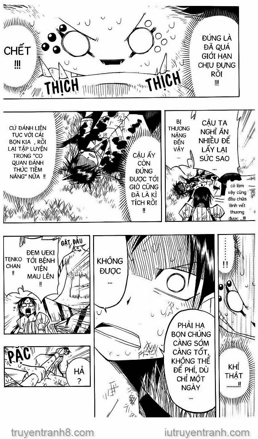 Law Of Ueki Chapter 53 - Trang 2
