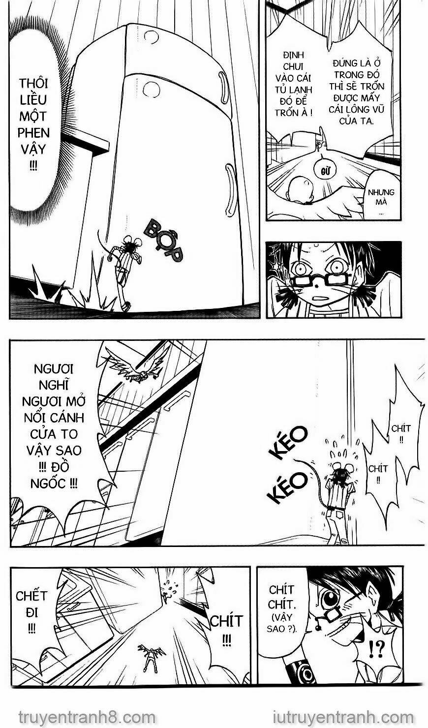 Law Of Ueki Chapter 66 - Trang 2