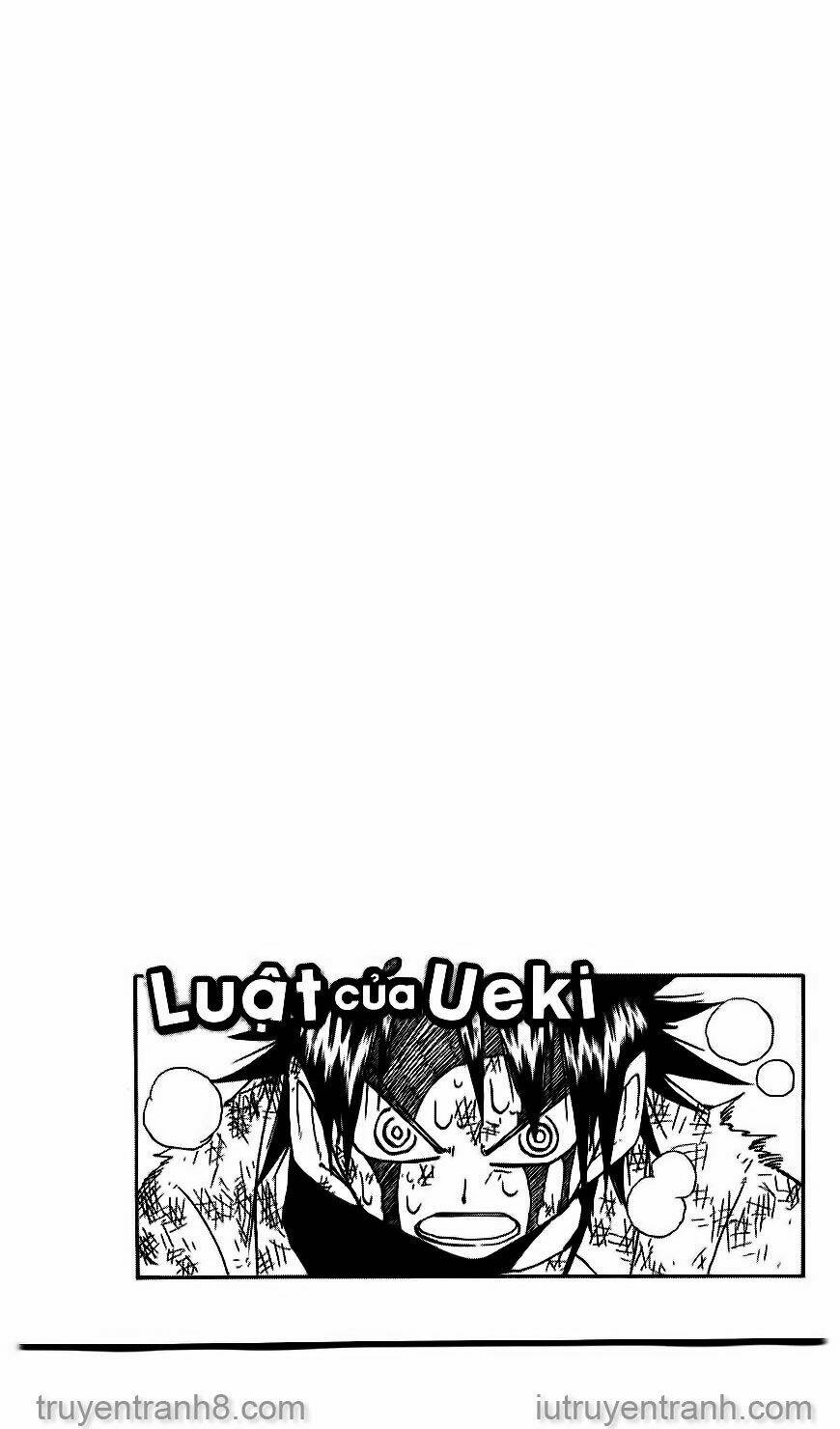 Law Of Ueki Chapter 81 - Trang 2