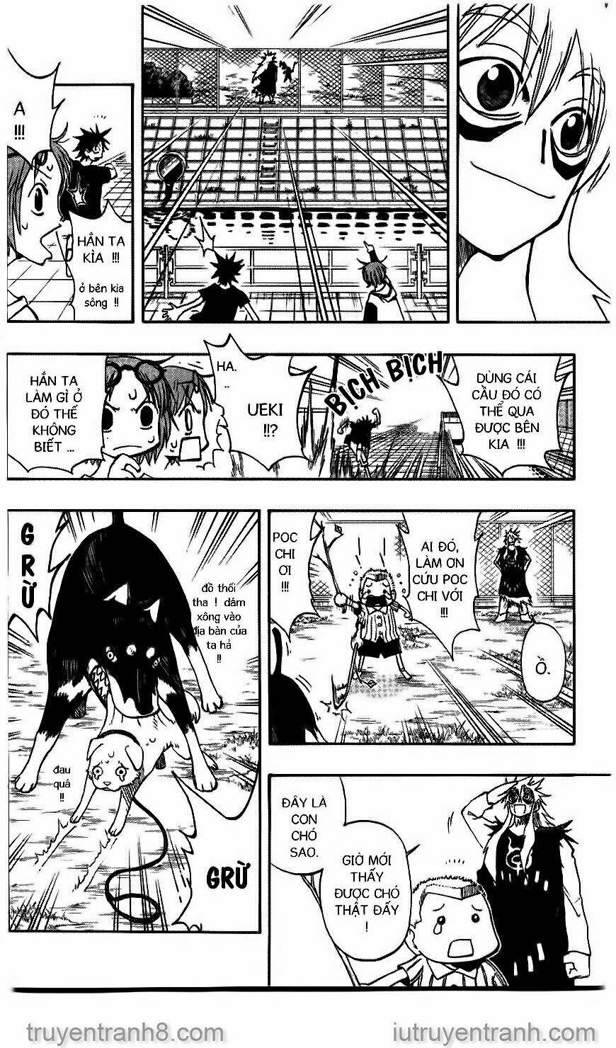 Law Of Ueki Chapter 86 - Trang 2