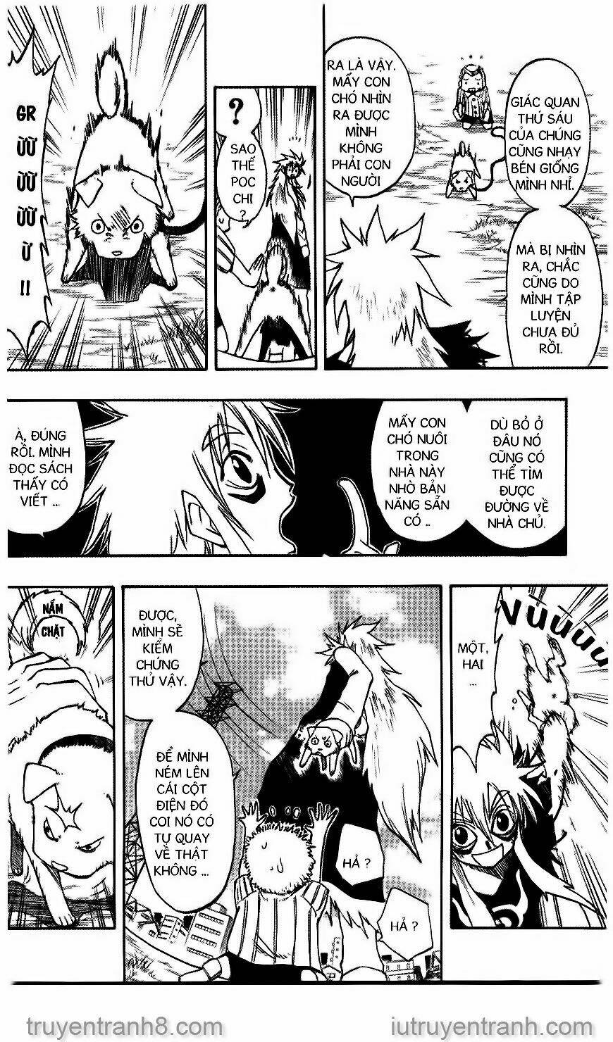 Law Of Ueki Chapter 86 - Trang 2