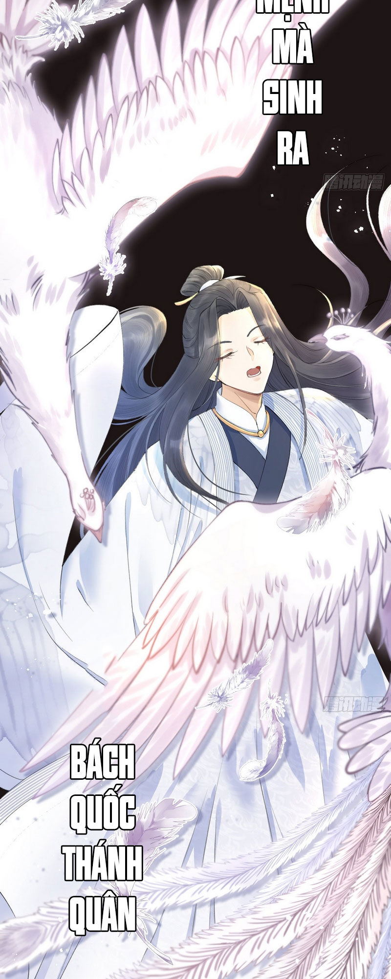 Lễ Băng Nhạc Phôi Chi Dạ Chapter 0 - Trang 2