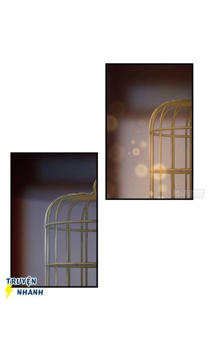 Lễ Băng Nhạc Phôi Chi Dạ Chapter 13 - Trang 2