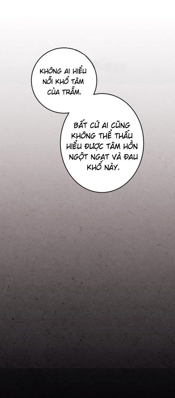 Lệnh Cấm Hôn Của Hoàng Đế Bệ Hạ Chapter 5 - Trang 2