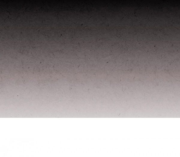 Lệnh Cấm Hôn Của Hoàng Đế Bệ Hạ Chapter 5 - Trang 2