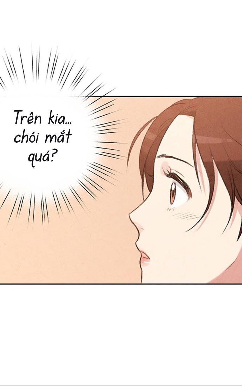 Lệnh Cấm Hôn Của Hoàng Đế Bệ Hạ Chapter 6 - Trang 2