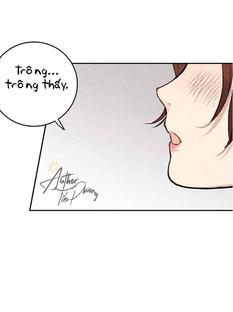 Lệnh Cấm Hôn Của Hoàng Đế Bệ Hạ Chapter 7 - Trang 2