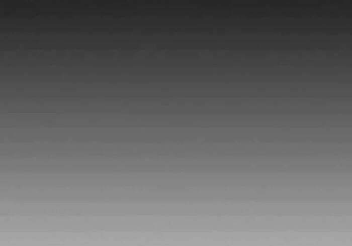 Level Up Chỉ Bằng Cách Ăn Cơm Chapter 102.5 - Trang 2