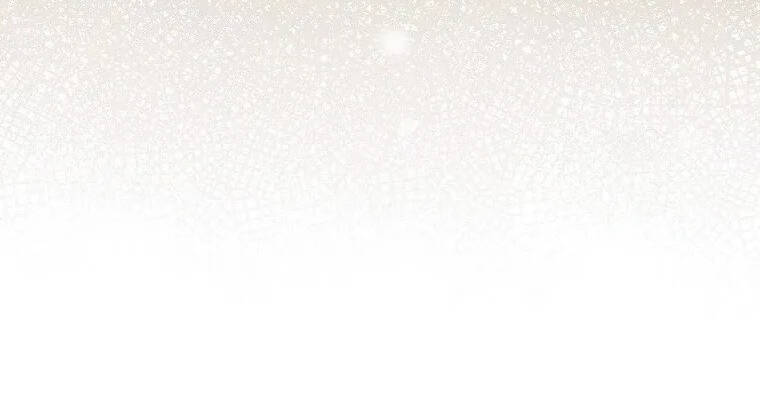 Level Up Chỉ Bằng Cách Ăn Cơm Chapter 108.5 - Trang 2