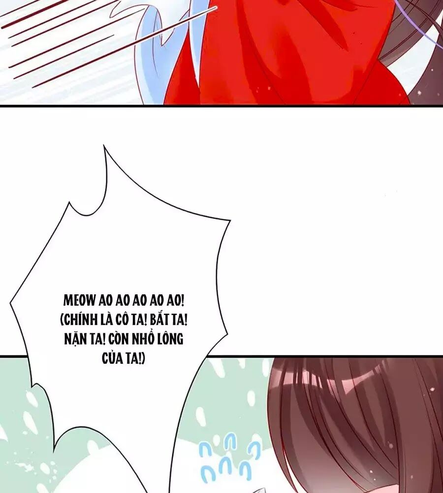 Liệt Hỏa Cuồng Phi: Vương Gia Thú Tính Muốn Sủng Chapter 52 - Trang 2