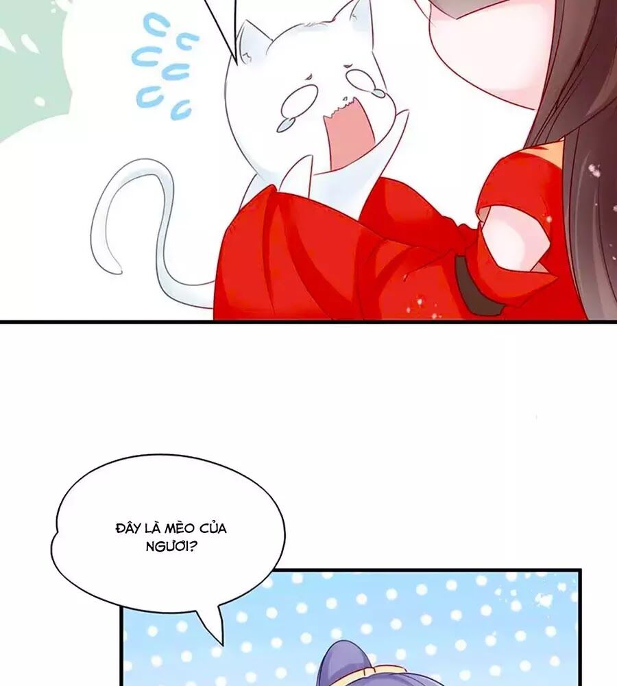 Liệt Hỏa Cuồng Phi: Vương Gia Thú Tính Muốn Sủng Chapter 52 - Trang 2