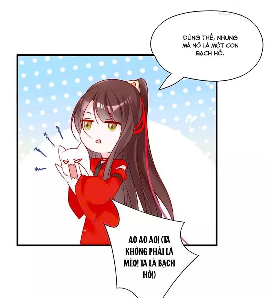 Liệt Hỏa Cuồng Phi: Vương Gia Thú Tính Muốn Sủng Chapter 52 - Trang 2