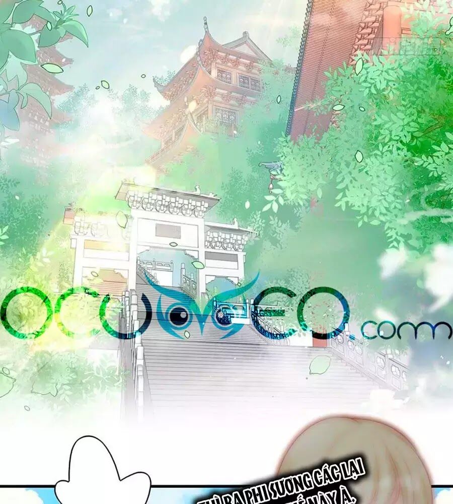 Liệt Hỏa Cuồng Phi: Vương Gia Thú Tính Muốn Sủng Chapter 52 - Trang 2