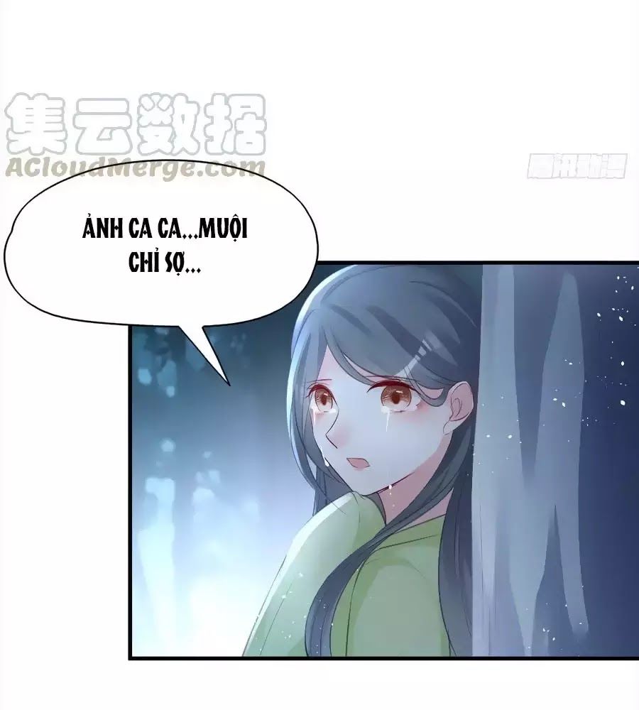 Liệt Hỏa Cuồng Phi: Vương Gia Thú Tính Muốn Sủng Chapter 69 - Trang 2