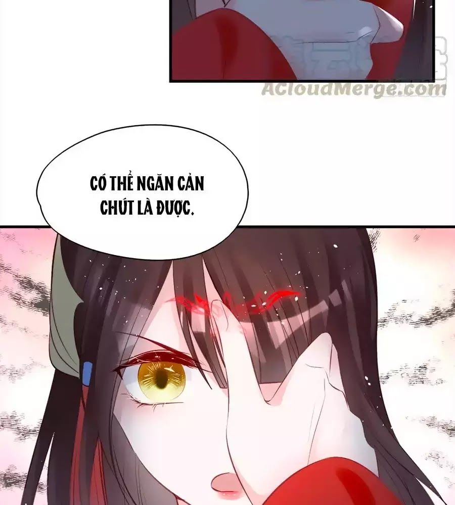 Liệt Hỏa Cuồng Phi: Vương Gia Thú Tính Muốn Sủng Chapter 69 - Trang 2
