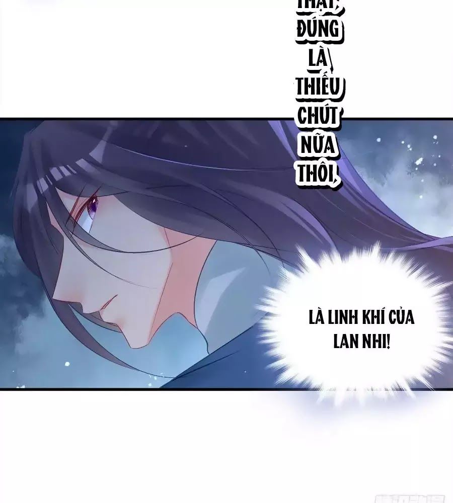 Liệt Hỏa Cuồng Phi: Vương Gia Thú Tính Muốn Sủng Chapter 70 - Trang 2