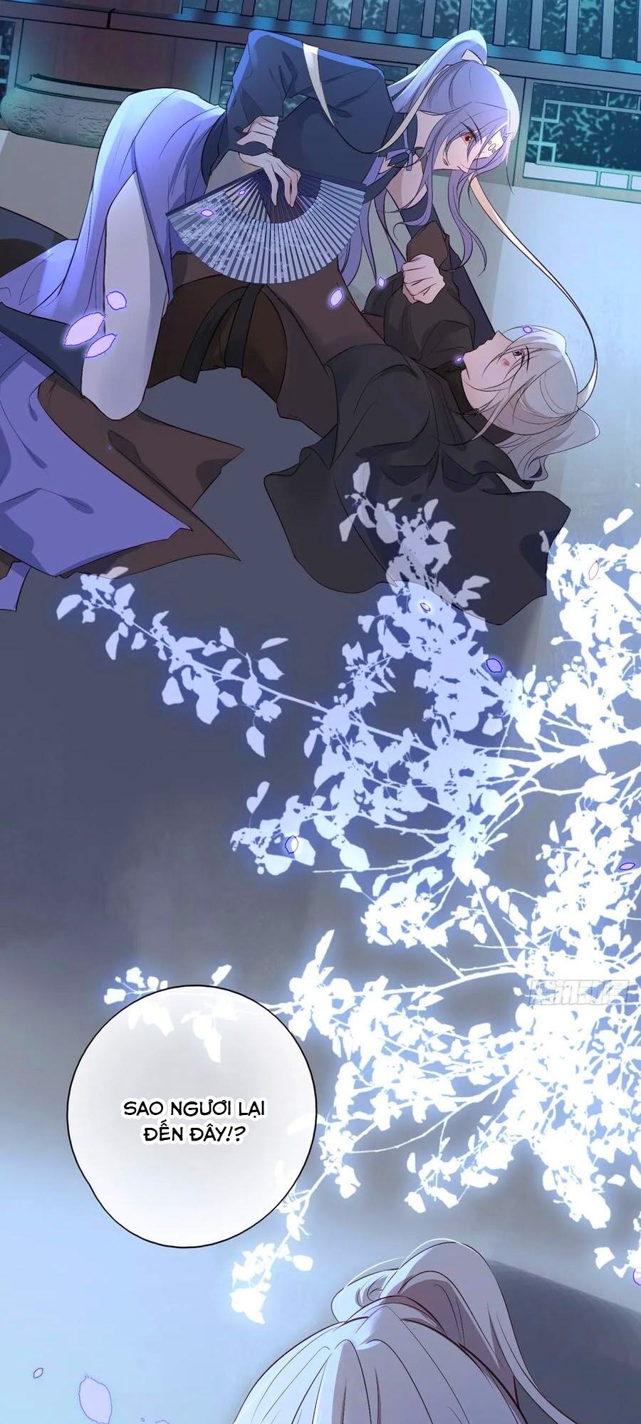 Liệt Hỏa Cuồng Phi: Vương Gia Thú Tính Muốn Sủng Chapter 84 - Trang 2