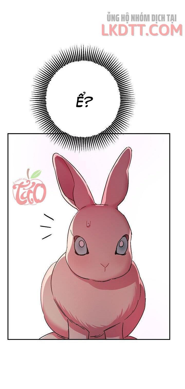 Liều Thuốc An Thần Của Bạo Chúa Chapter 23.1 - Trang 2