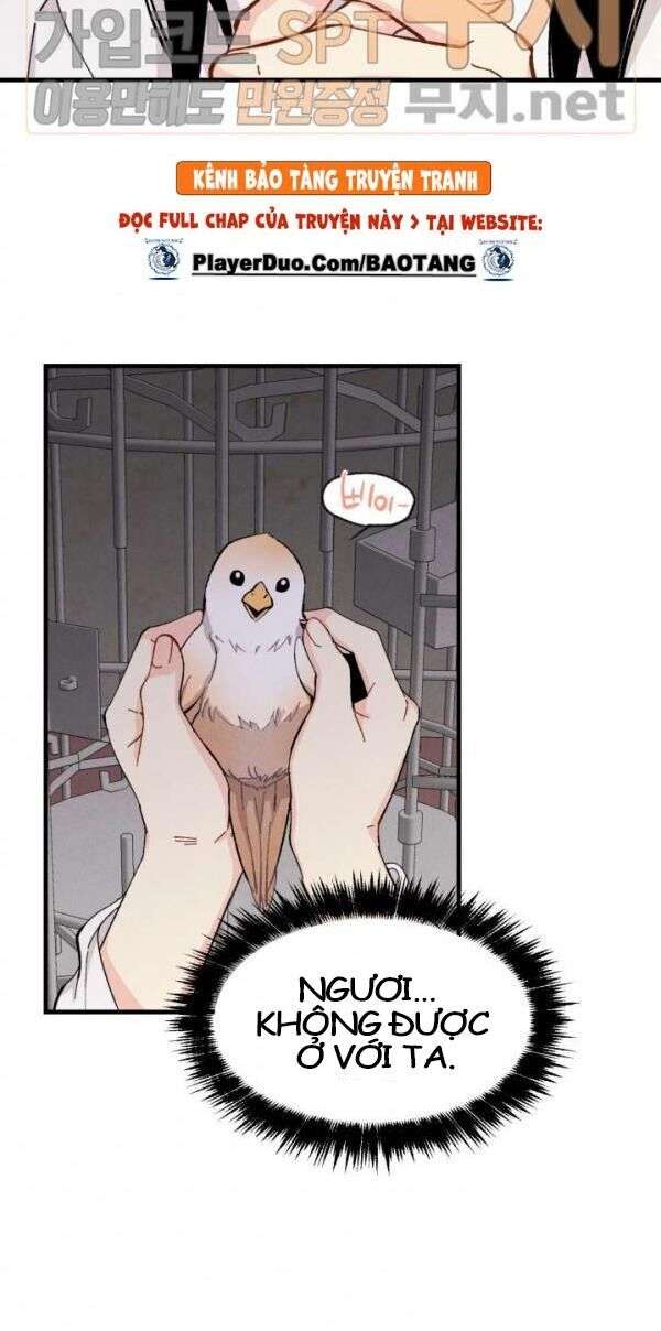 Lightning Degree Chapter 21 - Trang 2