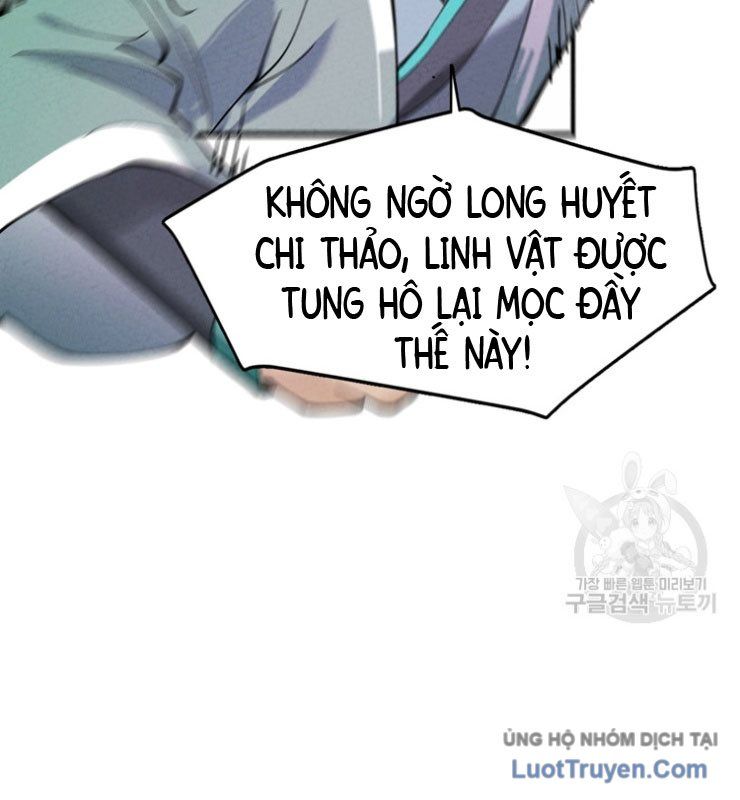 Linh Cấp Võ Giả Không Muốn Thăng Cấp Chapter 1 - Trang 2
