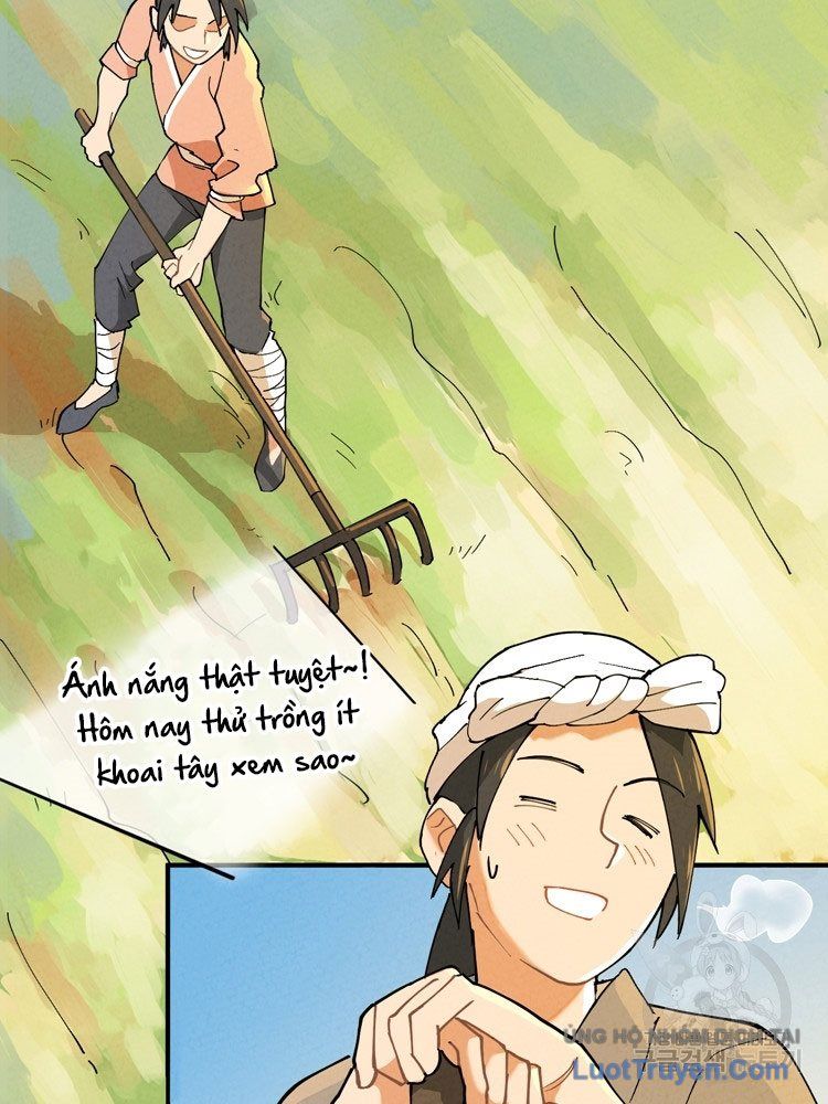 Linh Cấp Võ Giả Không Muốn Thăng Cấp Chapter 2 - Trang 2