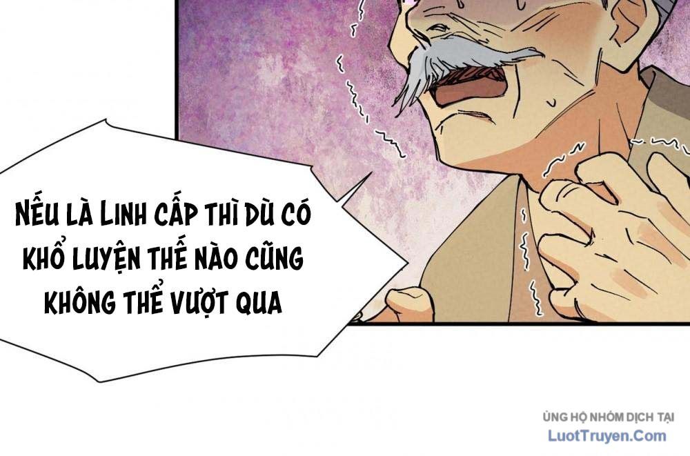 Linh Cấp Võ Giả Không Muốn Thăng Cấp Chapter 3 - Trang 2